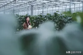 南昌这家高科技田园，1000亩菜地，星空房车，亲子采摘……图片