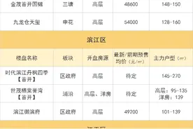 天空之城和西溪公馆同时开？8月新盘好多“神仙打架”图片