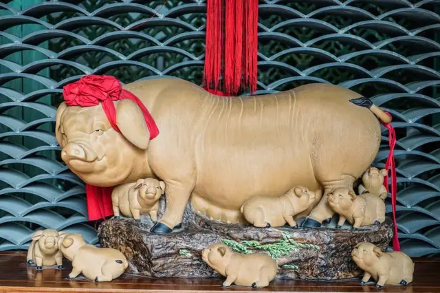 鳄鱼肉煲花胶的功效 2024年鳄鱼肉煲花胶的功效