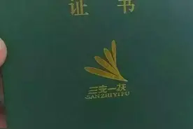 三支一扶转正之后都会在哪些部门？图片