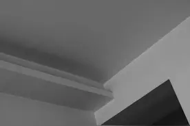 关于《三体》中的维德——失去人性失去很多，失去兽性失去一切图片