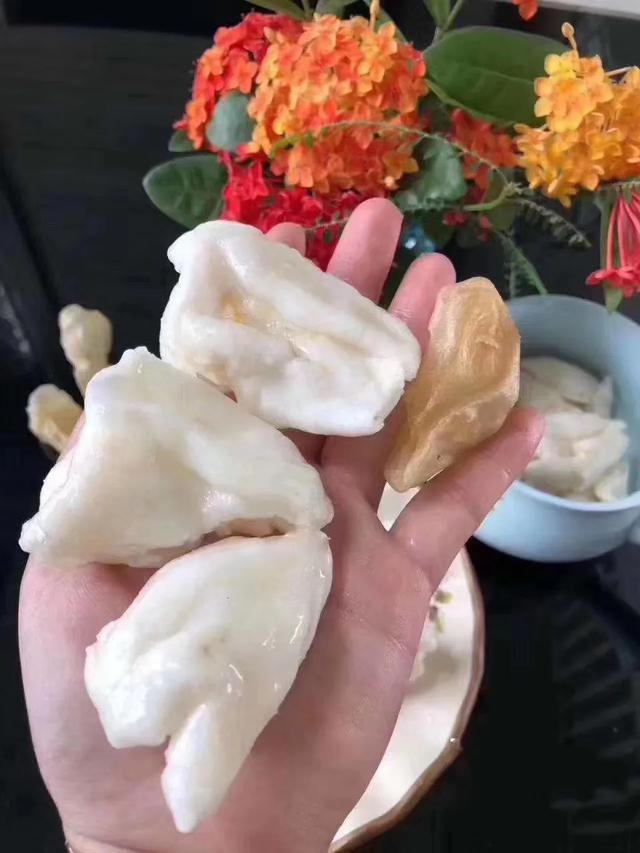 蝴蝶胶同花胶筒那种好 蝴蝶胶和白花胶的区别