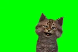 免费鬼畜搞笑视频常用绿幕素材图片