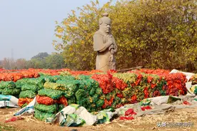 郑州：你该下决心了！巩义北宋皇陵，隔靴搔痒式的保护有什么用？图片
