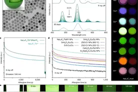福州大学这个团队不得了，3年2篇Nature图片