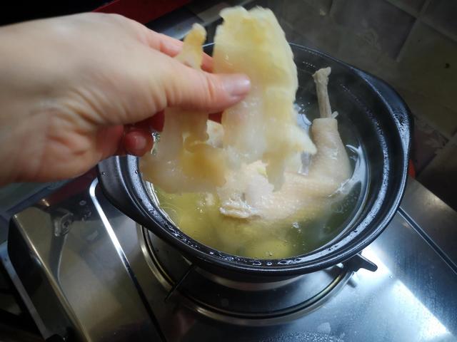 花胶海参螺头炖鸡功效与作用 2026年花胶海参螺头炖鸡功效与作用是什么