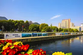 水城河投发了21000余尾大鱼，超好看图片
