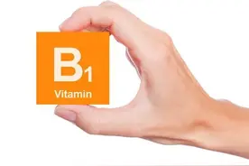 维生素B1、B2、B6、B12或叶酸不能和哪些药物一起服用？图片