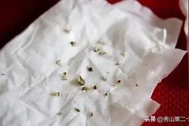 牙齿上长出“小石头”，味道又腥又臭，闻一下差点吐出来图片