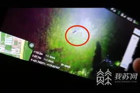 无人机夜间“开天眼”在芦苇荡中找到失踪女子图片