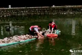 轻生男子拒接救生圈？蜀黍硬核施救图片
