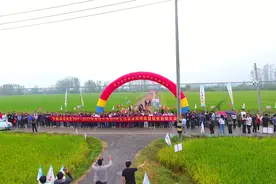 安徽荃华种业2021-2022年度皖东C两优丝苗市场启动大会图片