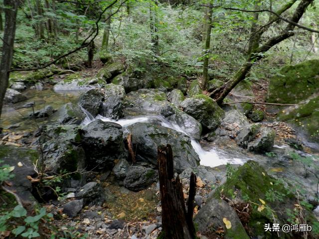 重走抗联路——本溪关门山森林公园鸣翠谷景区抗联秘营
