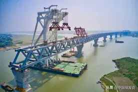 世界面积最大的红树林或因过度开发而遭受破坏│绿会国际观察图片