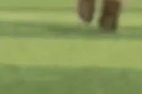 被全网心疼高龄搜救犬，退役后的养老生活竟有点出乎意料……图片