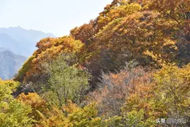 看完这一篇，神农架说走就走图片