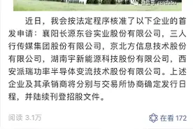 湖北再增一家上市公司！襄阳长源东谷首发申请获批图片
