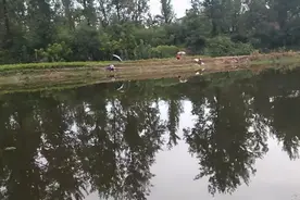 河南临颍农村关于鱼的记忆，喂鱼、钓鱼、吃鱼的那点事图片