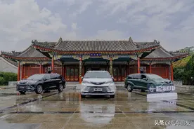我赛那不接受建议！更不接受指导图片