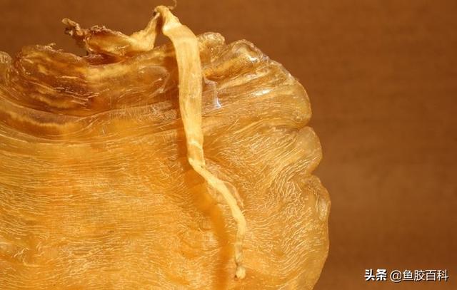 月子餐可以吃花胶 2026年月子能吃花胶