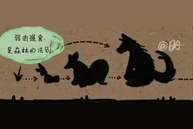 网易第五人格，裘克这个脑回路果然还是要看病去呀图片
