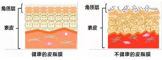 洗面奶中这2种网红护肤成分叠加使用：温和清洁+除螨杀菌＞2？