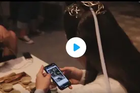 王一博这是在翻綦美合（耀莱集团老板女儿）照片？图片