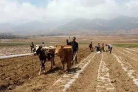重新分地，父母留下的承包地，怎么办？没地的怎么办图片