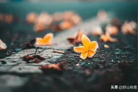 其实，你能有多长的寿命，能赚到多少钱，都是上天安排好的图片