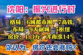 沈阳2035：人口1500万，4张国字牌，9大副城，7条高铁，房价1.3万图片