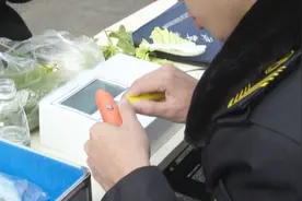 快检仪器！10分钟测出蔬菜瓜果是否有农药残留！让居民们吃定心丸视频封面