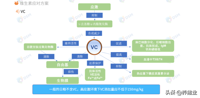 李曼大会听课笔记连载（二）（母猪营养、生长速度、应激、无抗）