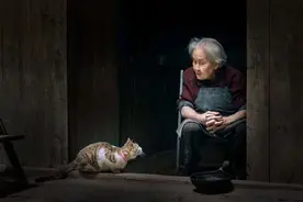 猫咪里有一个特殊的群体，叫“爷爷奶奶养大的猫”，虽然胖但很乖图片