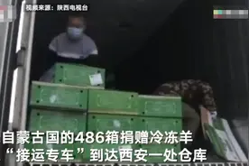 蒙古国的羊到陕西了！实拍卸车现场：486箱将全部发给援鄂医疗队员图片