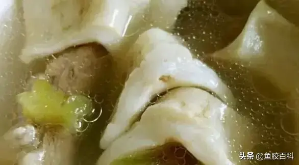 花胶一根 2026年花胶一片片和一条条
