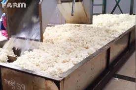 天然橡胶的收割，加工成橡胶产品视频封面