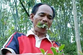 他是“三峡奇人”，不吃饭只吃草，34年吃了40吨，妻子无奈已离开图片