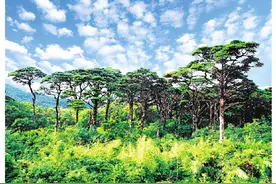 桂林猫儿山国家级自然保护区生态文明建设成果综述图片