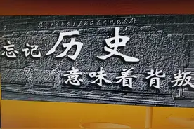 各国将帅之日本篇图片