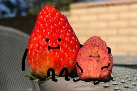 天气晴朗，万物可爱图片