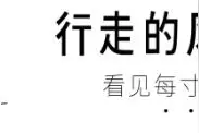 庆阳会成为甘肃的黑马吗？图片