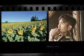 惟有葵花向日倾图片