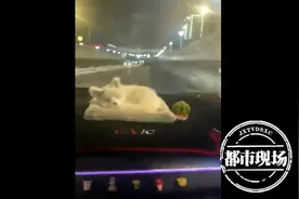 事发南昌！男子隧道内飙车超速90%，直接被吊销驾照图片