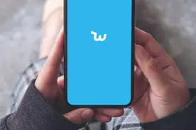 Wish股价大跌，美国长不出拼多多图片