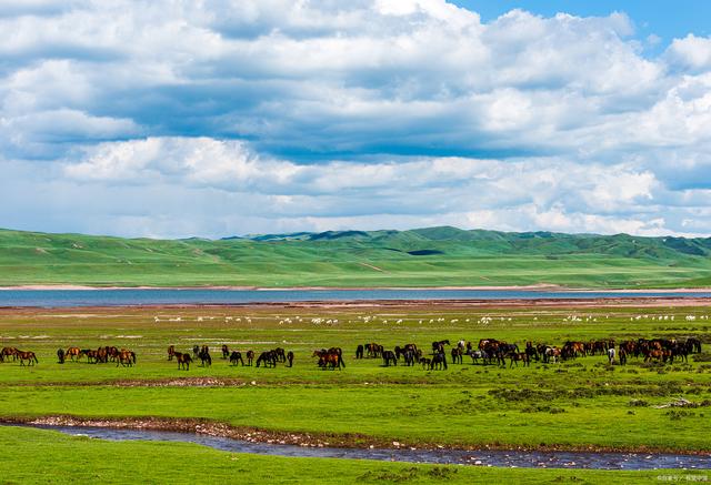 帝国之腋,九色甘南,甘肃旅游 top 10 景点