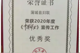 【我们这一年】——蒲城县妇联宣传工作纪实图片