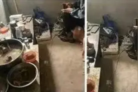“女朋友在我家住了三天，还不想回去！”她看上我哪儿了？图片