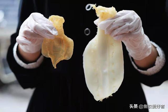 中午吃花胶可以吗 2025年中午吃花胶可以吗女生