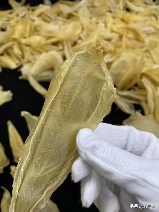 香港代购的花胶是假的 2026年香港代购的花胶是假的怎么办