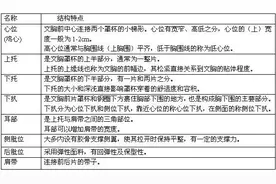 文胸各部位名称图片